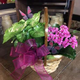 Basket arrangement with pink flowers, green foliage, and a purple ribbon