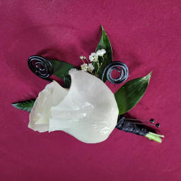 White calla lily boutonniere with dark green leaves on a magenta background