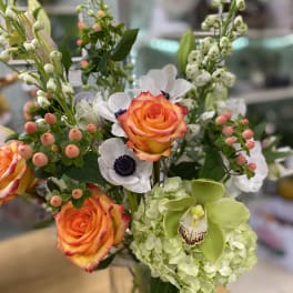 Sunset rose