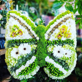 Butterfly-shaped floral arrangement in white and green with orchids and daisies
