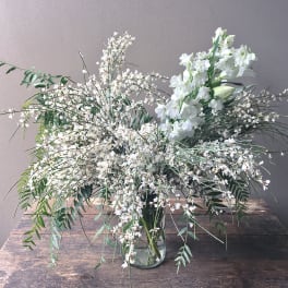 Eira (Gallery Photo)