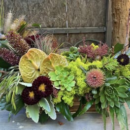 Tropical arrangement with succulents, anthuriums, and dark dahlias in a wooden container