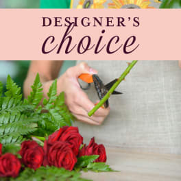 Hands trimming a rose stem beside red roses and fern foliage