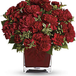 Red carnations arranged in a square glass vase