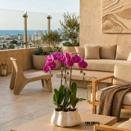 Potted pink orchid arrangement on a beige table in a modern patio seating area