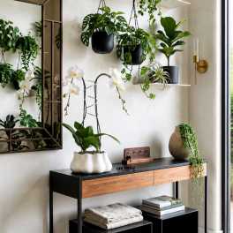 Indoor display of potted plants and white orchids on shelves and a console table.