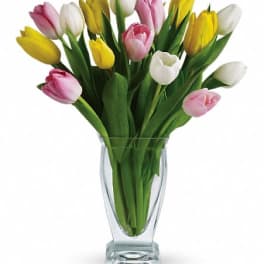 Mixed pink, yellow, and white tulips arranged in a clear glass vase