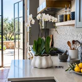 White orchids in a white ceramic pot on a kitchen counter