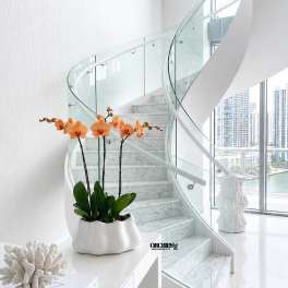 Orange orchids in a white planter on a modern staircase landing.