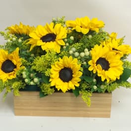 Sunflower arrangement in a rectangular wooden box