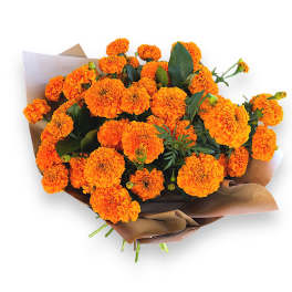 Marigold Bouquet