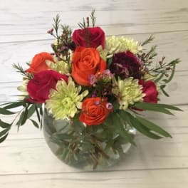 Warm Wishes