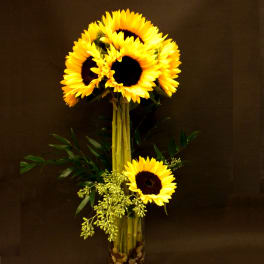 Tall sunflower arrangement in a glass vase with decorative stones