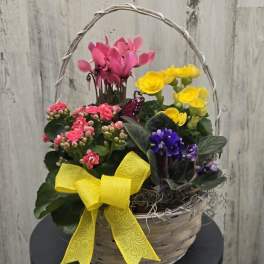 Blooming Basket for Mom