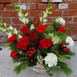 Basket arrangement of red roses and white carnations with pine greenery