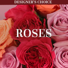 Close-up of roses in red, pink, and peach tones