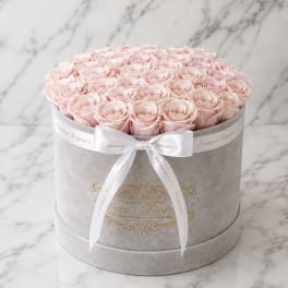 Round box of pale pink roses tied with a white ribbon