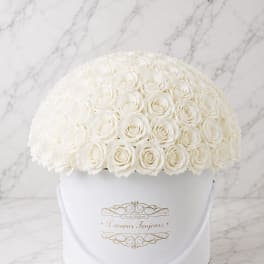 White rose dome arrangement in a round white box