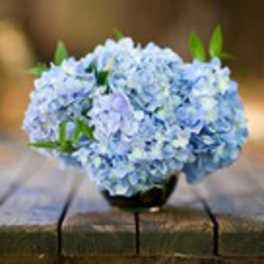 Blue hydrangea bouquet in a small vase on a wooden table