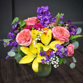 Color Splash! - PREMIUM