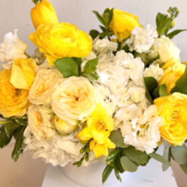 Mellow Yellow