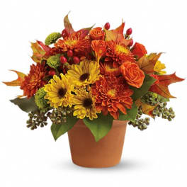 Autumn bouquet of yellow and orange flowers in a terracotta pot