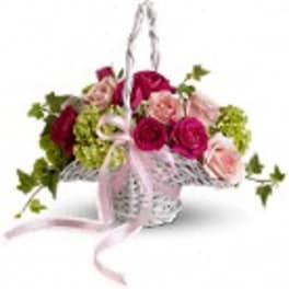 Basket of pink and red roses with green hydrangeas and ribbon