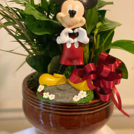 Mickey Mouse Sympathy Arrangement