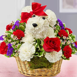 Teddy bear in a basket surrounded by red and white flowers