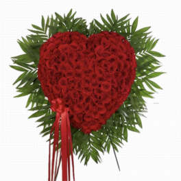 Heart-shaped cluster of red roses framed by radiating green foliage with long red ribbons