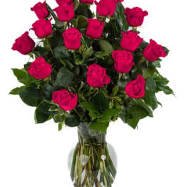 18 Hot Pink Roses