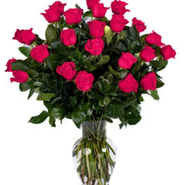 Two Dozen Hot Pink Roses
