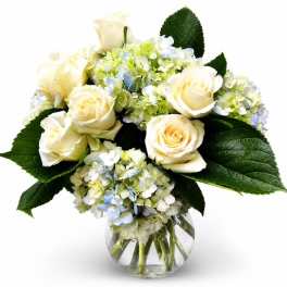 Cream roses and pale hydrangeas in a clear glass vase