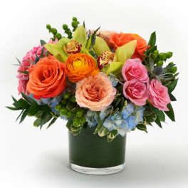 Low glass vase of orange and pink roses with green orchids, orange ranunculus, and blue hydrangeas