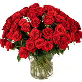 Large bouquet of red roses arranged in a clear glass cylinder vase