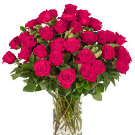 Three Dozen Hot Pink Roses