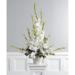 Radiant Glads Aarrangement