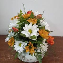 Mixed bouquet of white and orange daisies in a white vase
