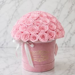 Pink roses arranged in a round velvet hat box with a ribbon
