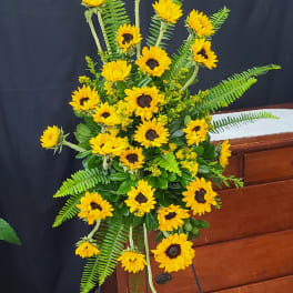 Mourning Sunflowers