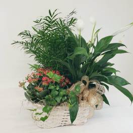 Basket arrangement with white peace lilies, red flowers, and assorted green plants