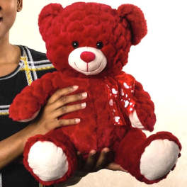 Red teddy bear with a heart-pattern ribbon being held by a person