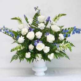 White roses and blue flowers arranged in a white vase