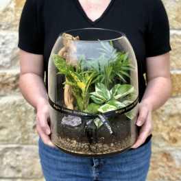 Jungle Terrarium