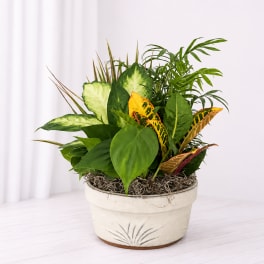 Planter