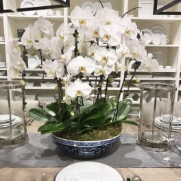 White orchid arrangement in a blue bowl centerpiece on a set dining table