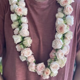 Blush & Lush