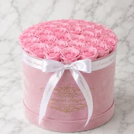 Round pink box filled with pink roses and tied with a white ribbon