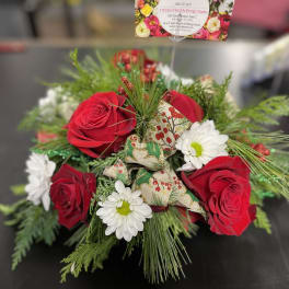 Red roses and white daisies in a low holiday bouquet with pine accents