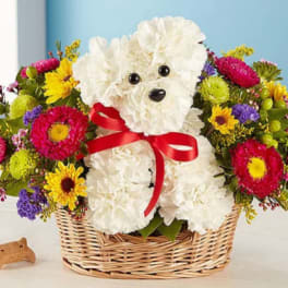 White teddy bear in a basket surrounded by colorful flowers